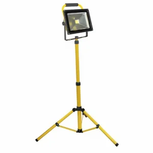 LED 110v Floodlight on stand